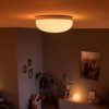 Luminaires Voltex | Plafonnier Flourish - Philips